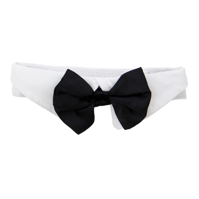 Black Satin Bow with White Collar Dog Wedding Accessory - Giftware - Doggie Design