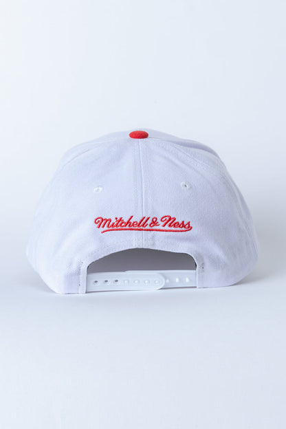 2 TONE 2.0 PRO SNAPBACK HWC KINGS