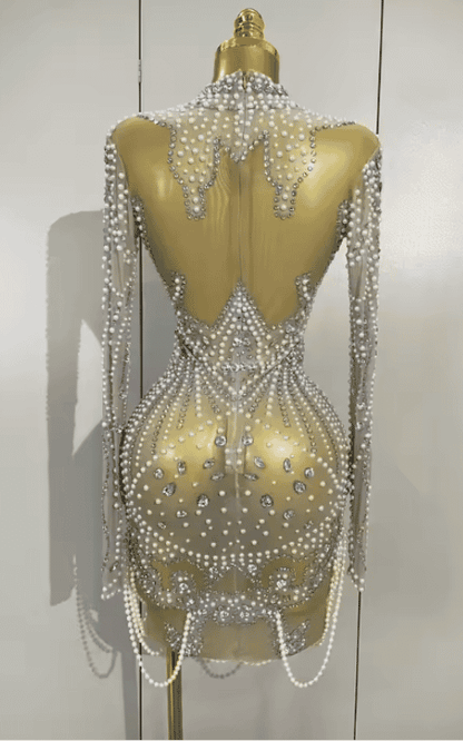 Abi Luxury Diamond Pearl Mesh Stretch Mini Dress