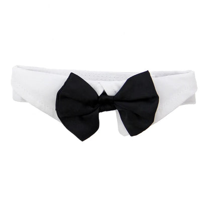 Black Satin Bow with White Collar Dog Wedding Accessory - Giftware - Doggie Design