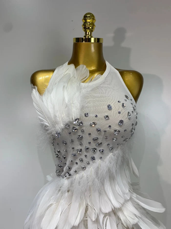 Make a grand entrance in the Cheska halter backless feather evening dress. Elegant bodycon gown for weddings, parties, birthdays, and galas.