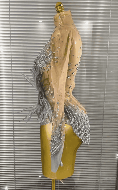Juliana 3D Butterfly Long Sleeve Mesh Bodycon Dress for Women