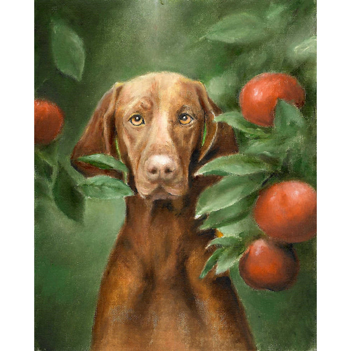 Original Dog Portrait Oil Painting - Vizsla