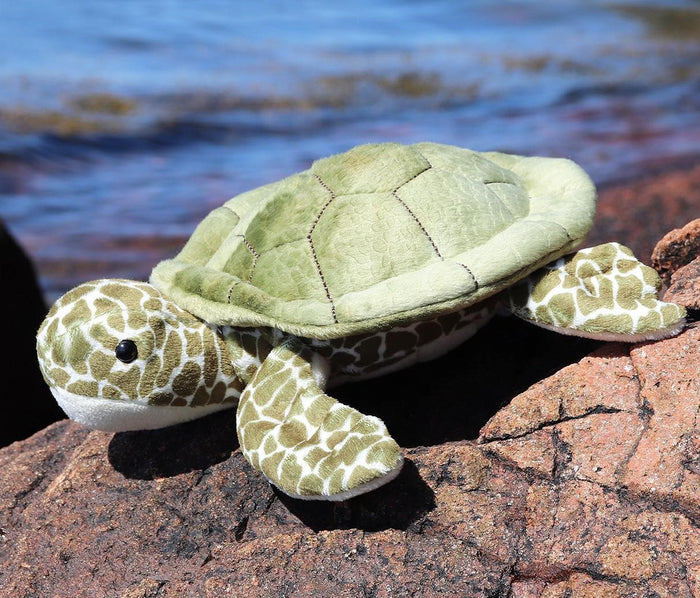 "Sale" Douglas Cuddle Toys - Sea Turtle Stuffed Animal Plush 4115